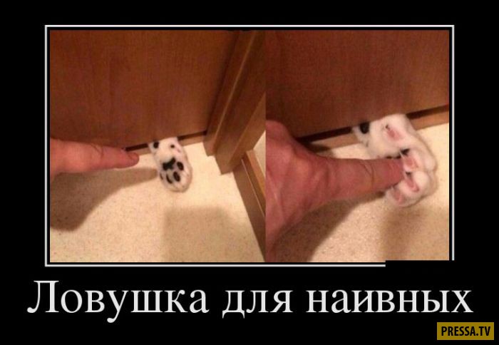 ������������ �� 05.12.2016 (50 ����)