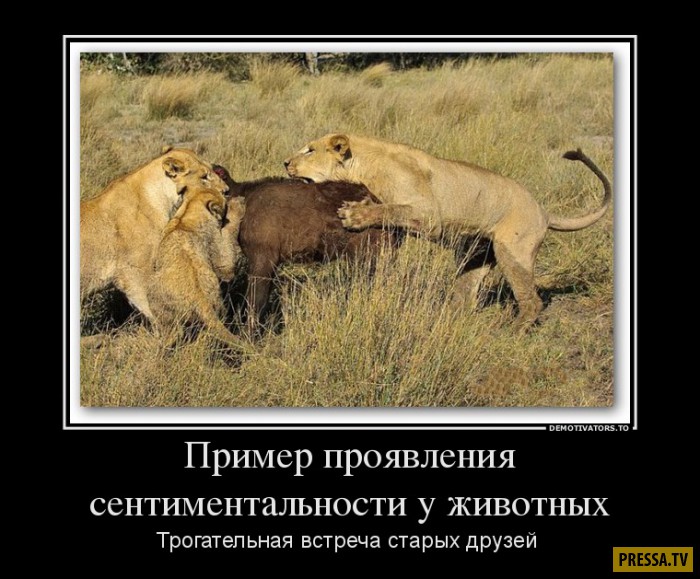 ������������ �� 05.12.2016 (50 ����)