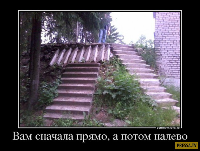 ������������ �� 05.12.2016 (50 ����)