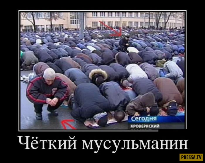 ������������ �� 05.12.2016 (50 ����)