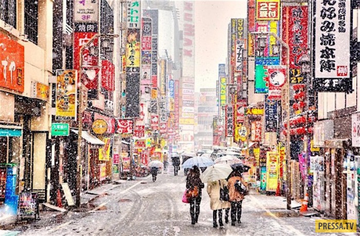 В Токио впервые за 54 года в ноябре выпал снег (12 фото)