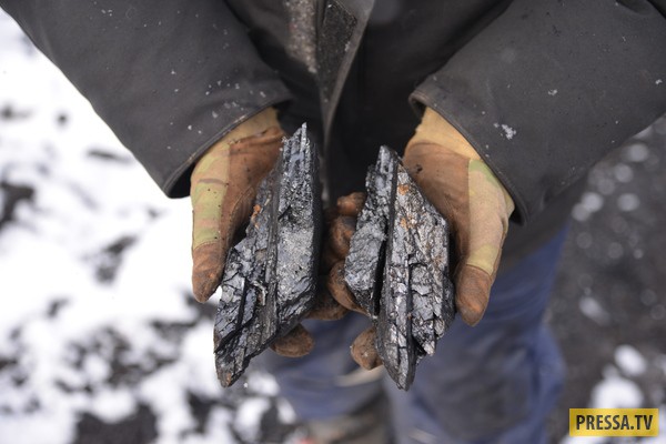 Как разведывают угольное месторождение на Чукотке (25 фото)