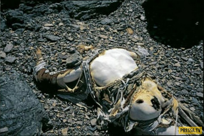 (18+) Вдоль всей дороги на Эверест лежат тела альпинистов (14 фото)