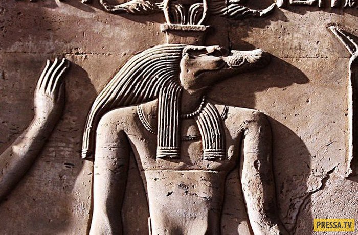 Животные, почитаемые в Древнем Египте (11 фото + видео)