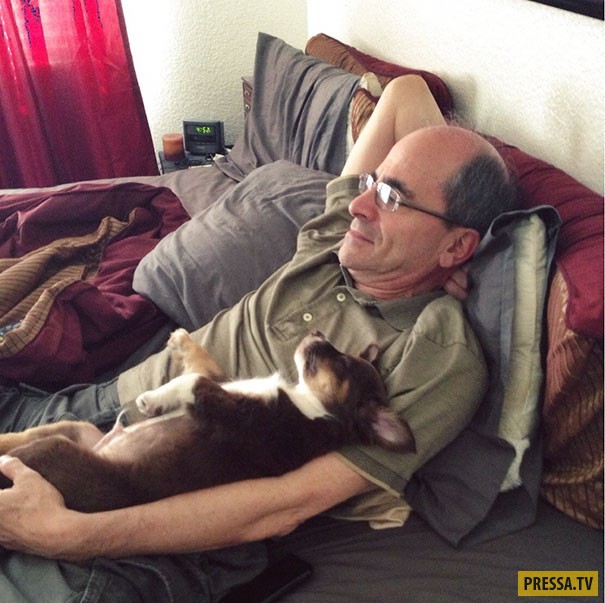 «А мой папа говорил, что не хочет собаку».(20 фото)