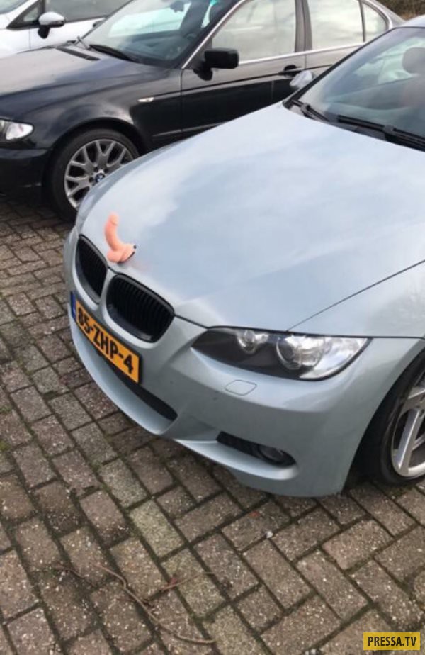 ���������� ����������, �������� ������ (55 ����)