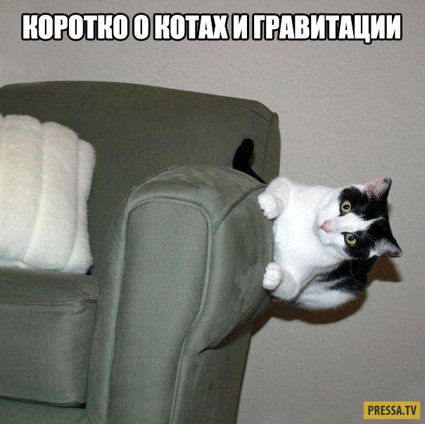 ��������� ������� � ��������� (42 ����)