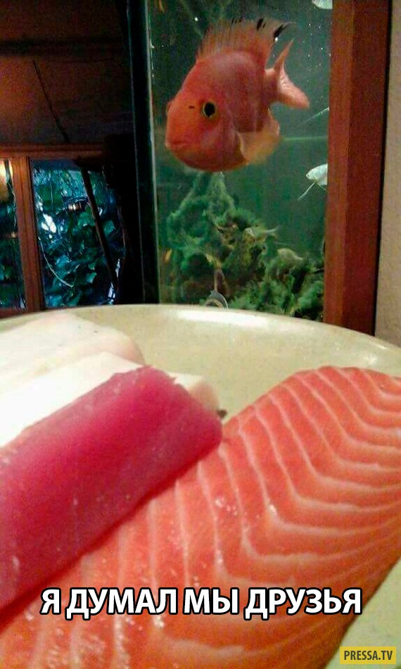 ��������� ������� � ��������� (42 ����)