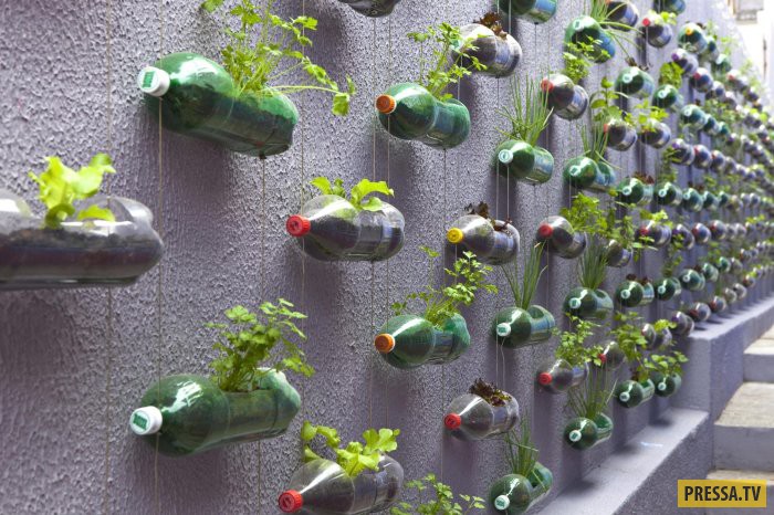 Забор из пластиковых бутылок своими руками, варианты, фото, декоративный забор