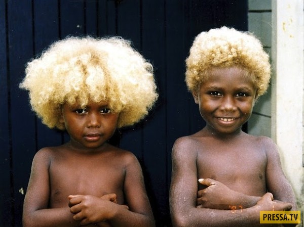 Удивительные чернокожие блондины из Меланезии (9 фото)