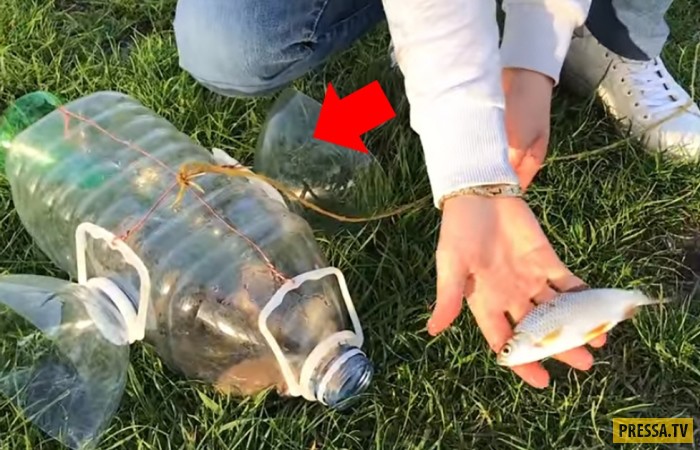 Как сделать ловушку для рыбы из пластиковой бутылки
