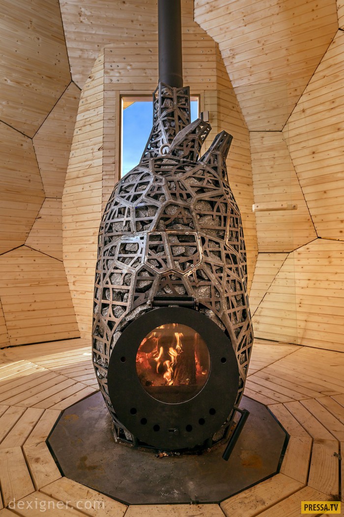 Сауна-яйцо с печью специальной конструкции (15 фото)
