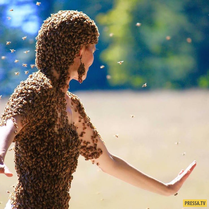 Повелительница пчёл: американка носит на себе 12 тыс. насекомых и исцеляется (5 фото + видео)