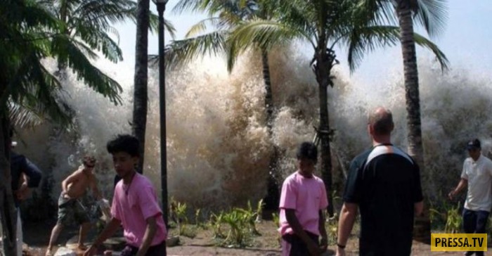 10 лет назад смертельное цунами поглотило маленькую девочку. Но однажды мужчина увидел знакомый взгляд... (7 фото)