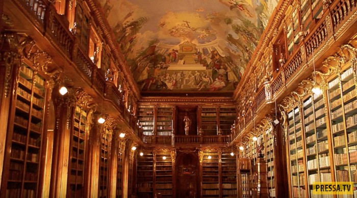 Самая красивая библиотека в мире (6 фото)