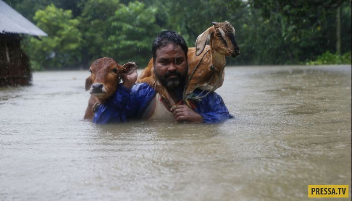 Сильнейшее наводнение в Непале, Бангладеше и Индии уже унесло 1200 жизней (27 фото)