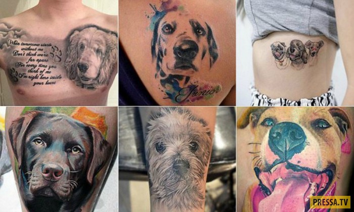 2 татуировка собаки: векторные изображения и иллюстрации, которые можно скачать бесплатно | Freepik