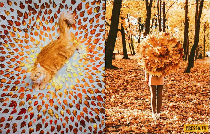 "Золотая осень" в фотографиях московского фотографа Кристины Макеевой (21 фото)