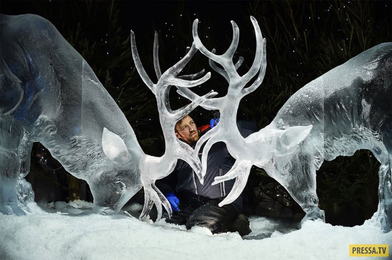 Невероятные ледяные скульптуры Даррена Джексона (9 фото)