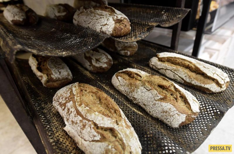 Финская компания Fazer печет хлеб со сверчками (7 фото)