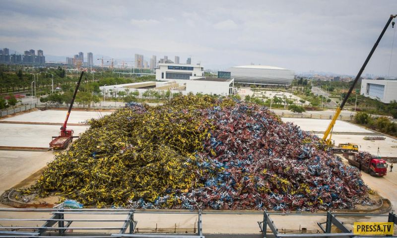 В Китае обанкротилась крупнейшая фирма по прокату велосипедов Bluegogo (3 фото)