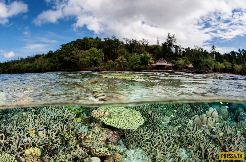Соломоновы острова - райский уголок, который исчезает (16 фото)