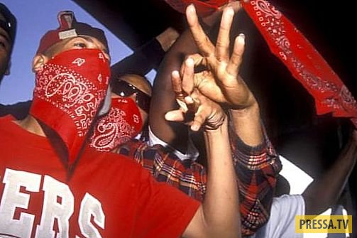 Латиноамериканские группы. латиноамериканские банды