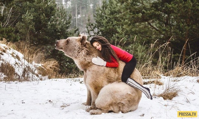 Финалистка конкурса талантов  Стефани Миллингер и бурый медведь (8 фото + видео)