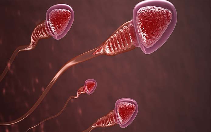 Социальные сети отреагировали на сообщение о создании искусственных сперматозоидов