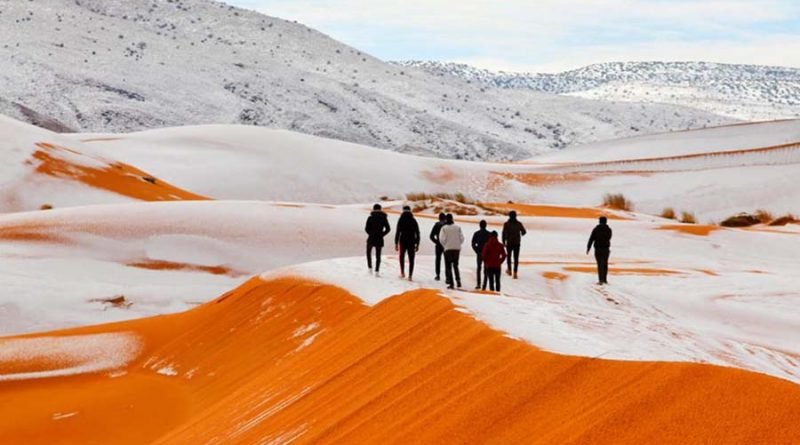 Удивительные фотографии заснеженной пустыни Сахары (14 фото)