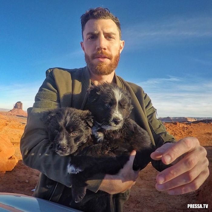 Мужчина спас в пустыне двух брошенных щенков (11 фото)