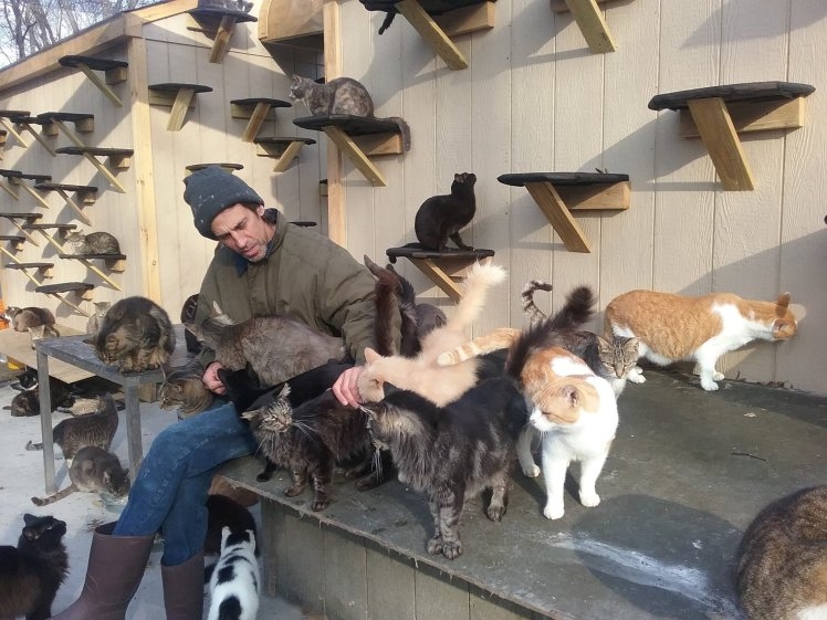 58-летний мужчина живет в окружении 300 кошек