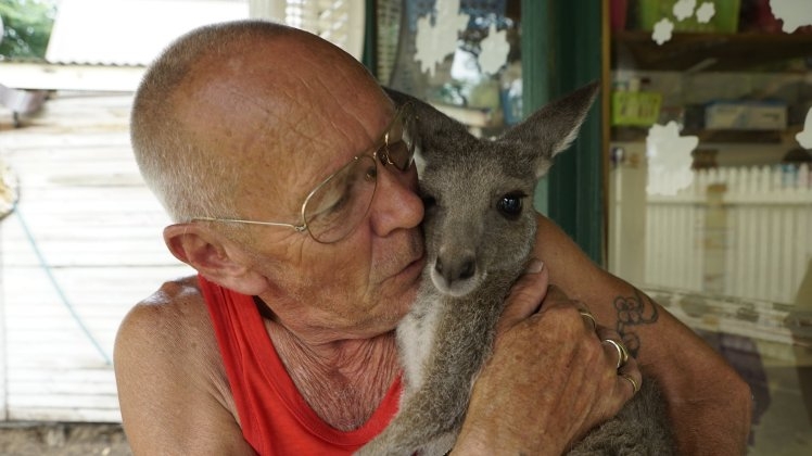 Семья превратила свой дом в приют для кенгуру