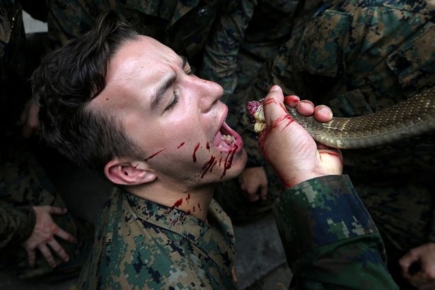 Кровь из кобры... Курс выживания в условиях джунглей для морских пехотинцев США