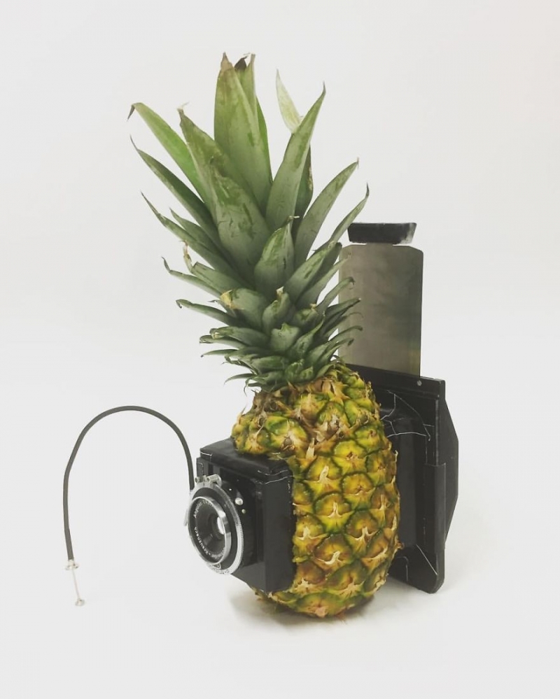 Фотокамера из ананаса...