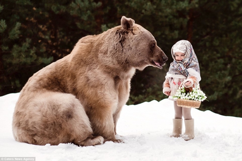 Маленькая девочка позирует с 300-килограммовым медведем