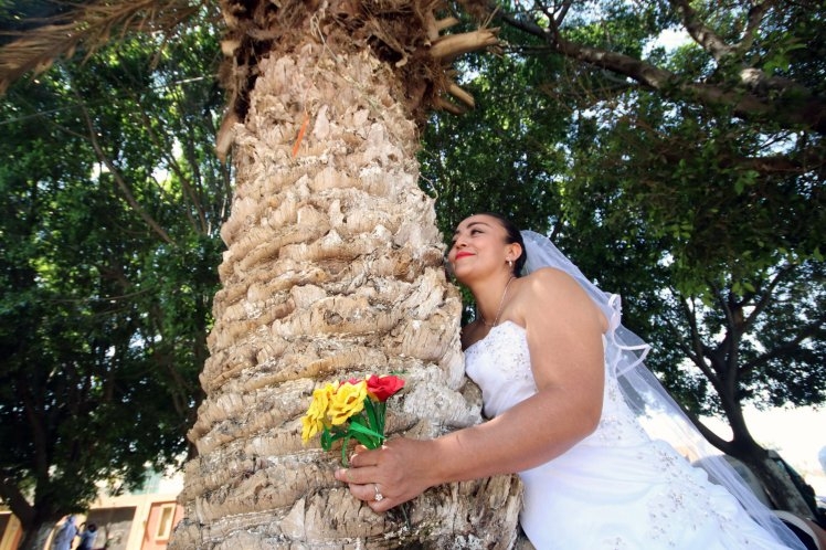 В Мексике одинокие женщины выходят замуж за деревья, чтобы спасти их