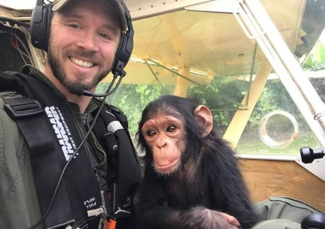 Учимся летать! Спасенный малыш шимпанзе потешно помогает пилоту управлять вертолетом