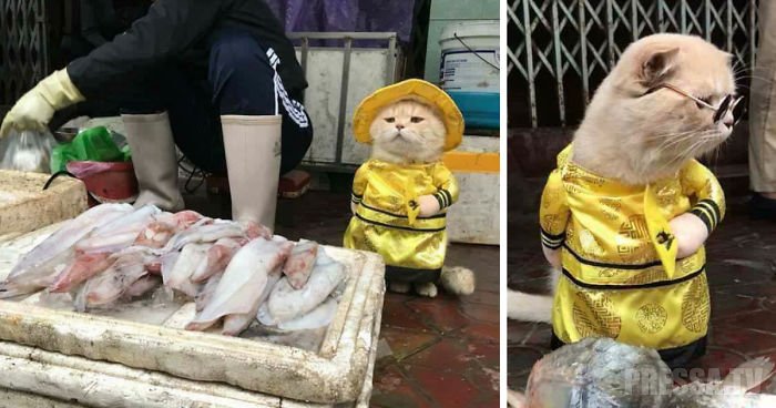 Самый привлекательный продавец рыбы на вьетнамском рынке