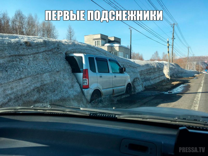 Авто юмор приколы