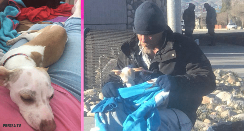 Бездомный спас маленькую собачку, которую выбросили из машины на оживленной дороге