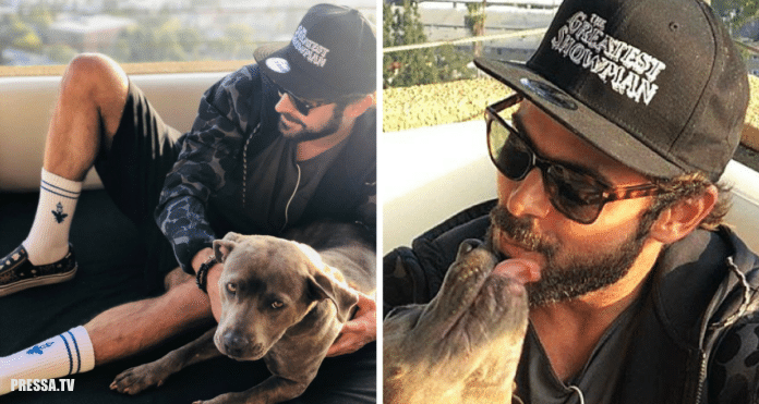 Известный актер Зак Эфрон  спас собаку от эвтаназии