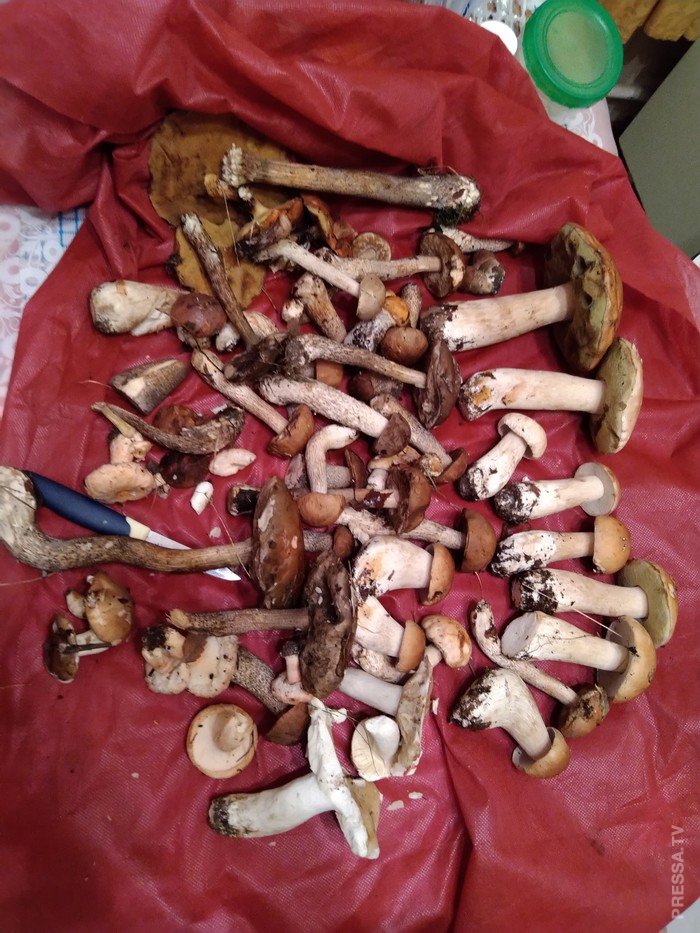 ���������� ���������� - �������� ������