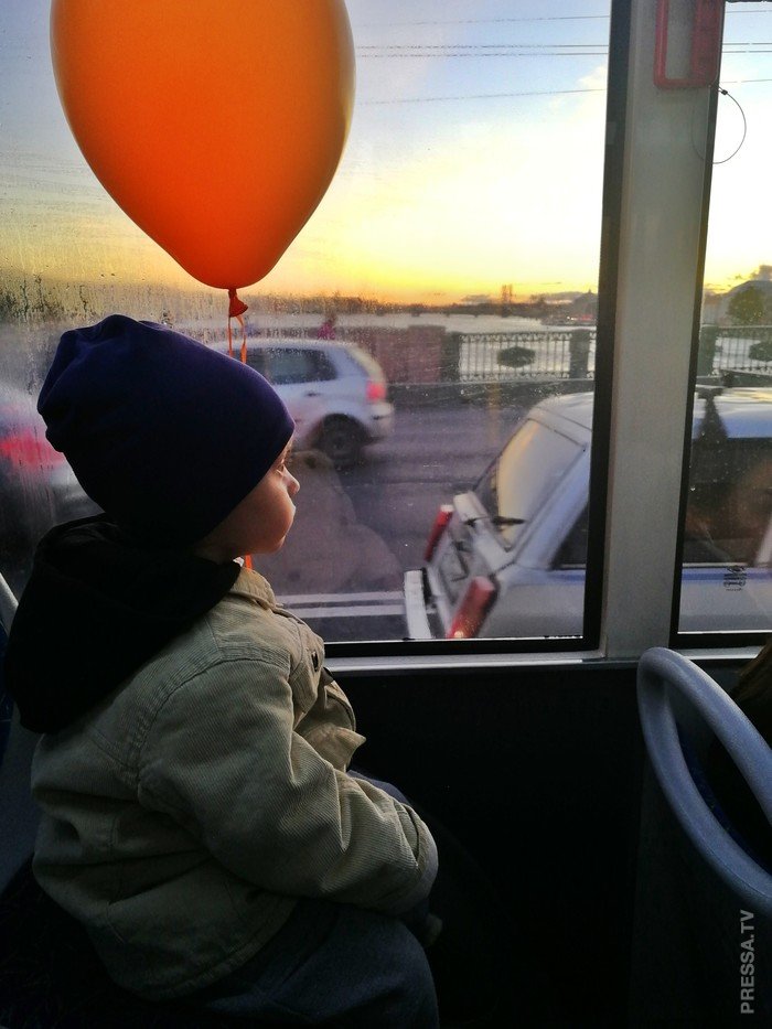 ���������� ���������� - �������� ������