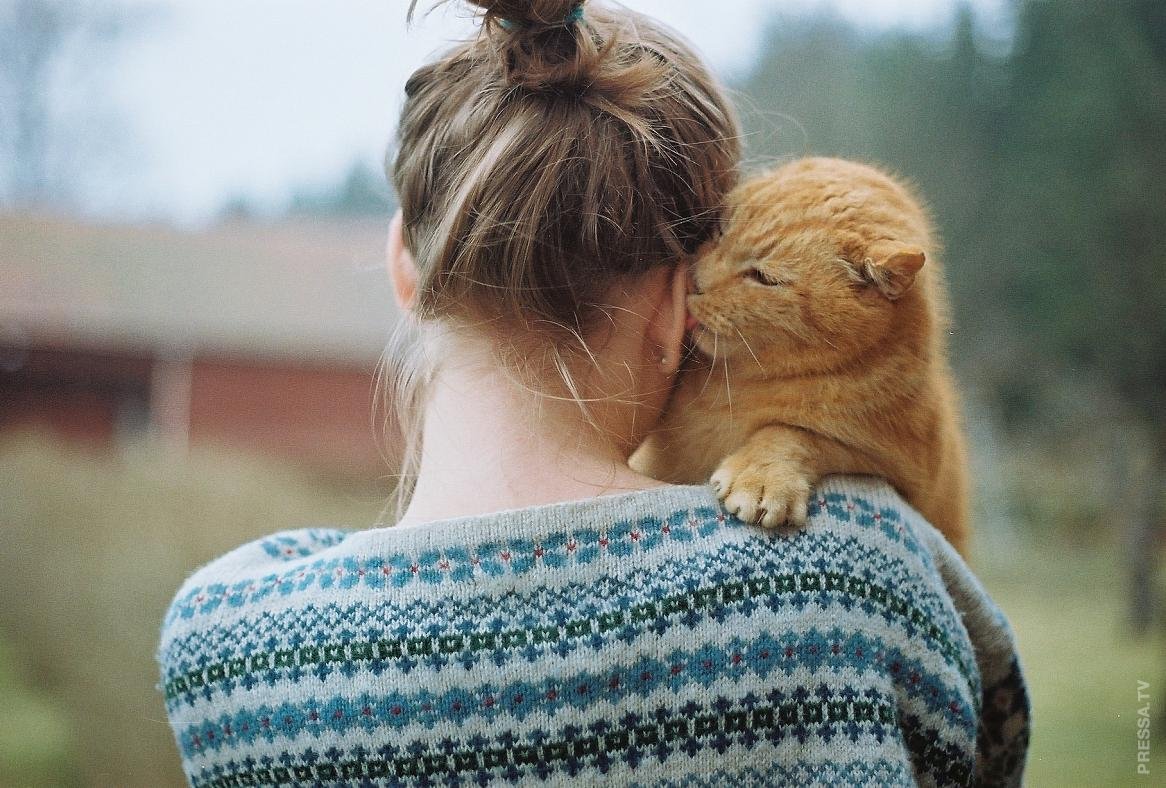 Женщина любит животных. Девушка с рыжим котом. Кот обнимает. Девушка обнимает кота. Девушка кошка.