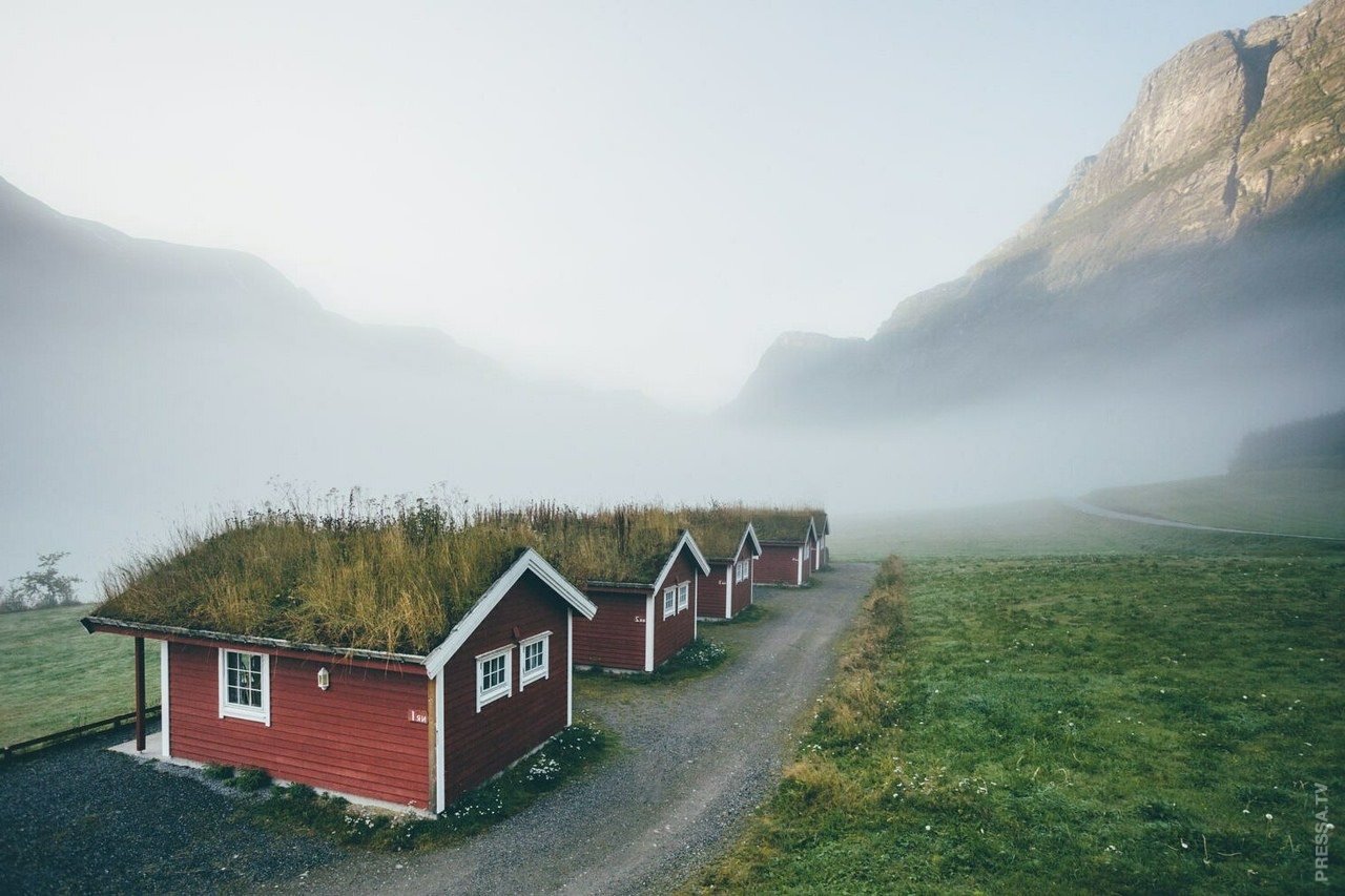 Домик в норвегии. Зеленая кровля Скандинавия. Зеленая кровля в Норвегии. Скандинавский дом в Норвегии. Норвегия Скандинавия архитектура.