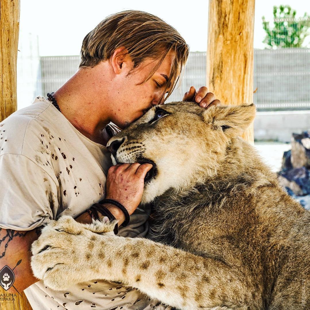 Парень лев какой. Дэн Шнайдер львы. Парень с дикими животными. Люди и животные. Человек и животное.