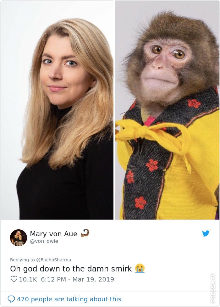 Look the monkey is