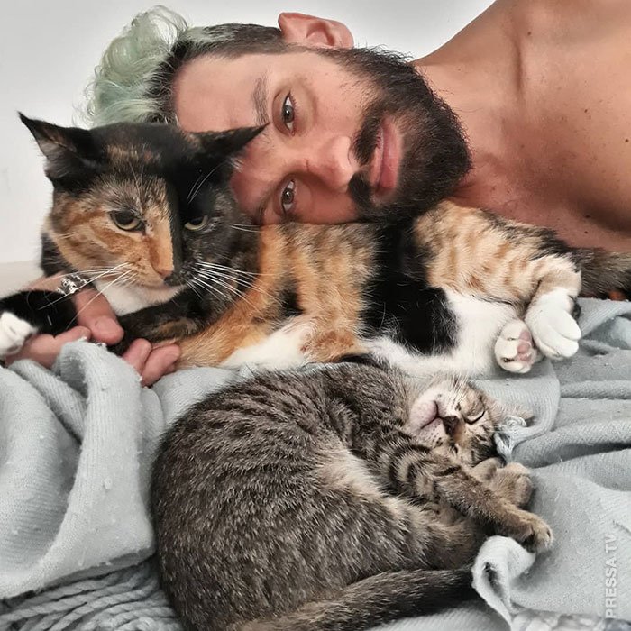 Мужчина любящие кошек. Кошка муж. Мужчина любит кошек. Парень с кошкой. Мужики любящие кошек.