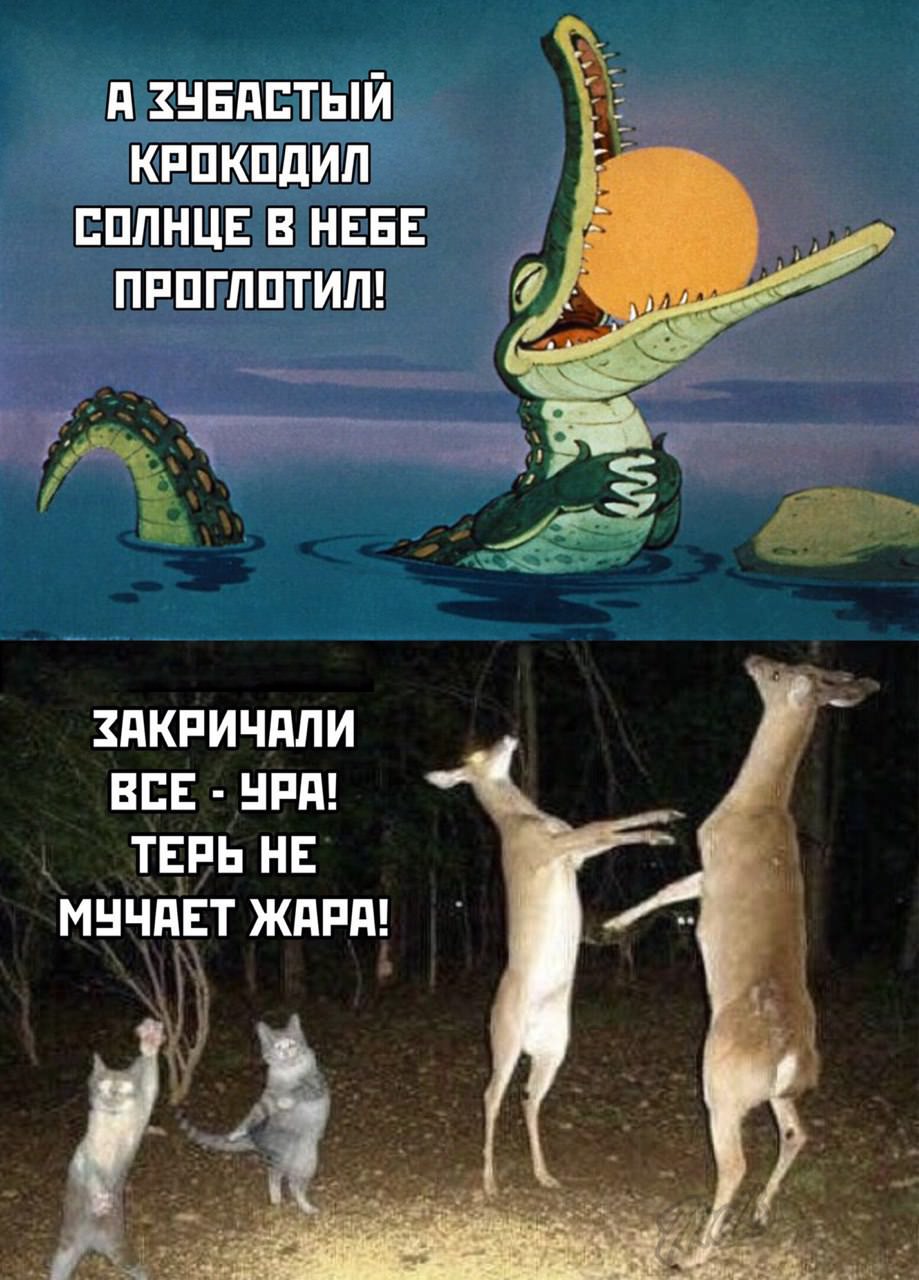 Крокодил съел солнце